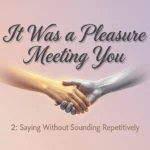 Pleasure Meeting You