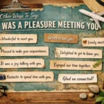 Other Way To Say It Was a Pleasure Meeting You