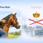 Free Rein or Free Reign