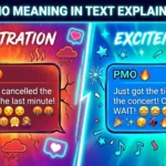 PMO Meaning in Text