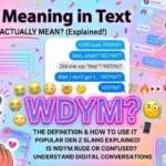 WDYM Meaning in Text