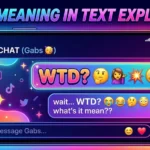 WTD Meaning in Text